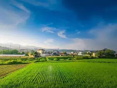 http://www.thwl168.com/zixun/145.html|电商资讯